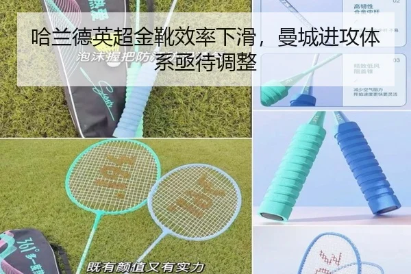 ha-lan-de-ying-chao-jin-xue-xiao-lv-xia-hua-man-cheng-jin-gong-ti-xi-ji-dai-tiao-zheng-3-289.jpg