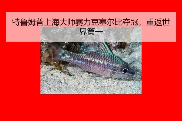 te-lu-mu-pu-shang-hai-da-shi-sai-li-ke-sai-er-bi-duo-guan-chong-fan-shi-jie-di-yi-3-142.jpg
